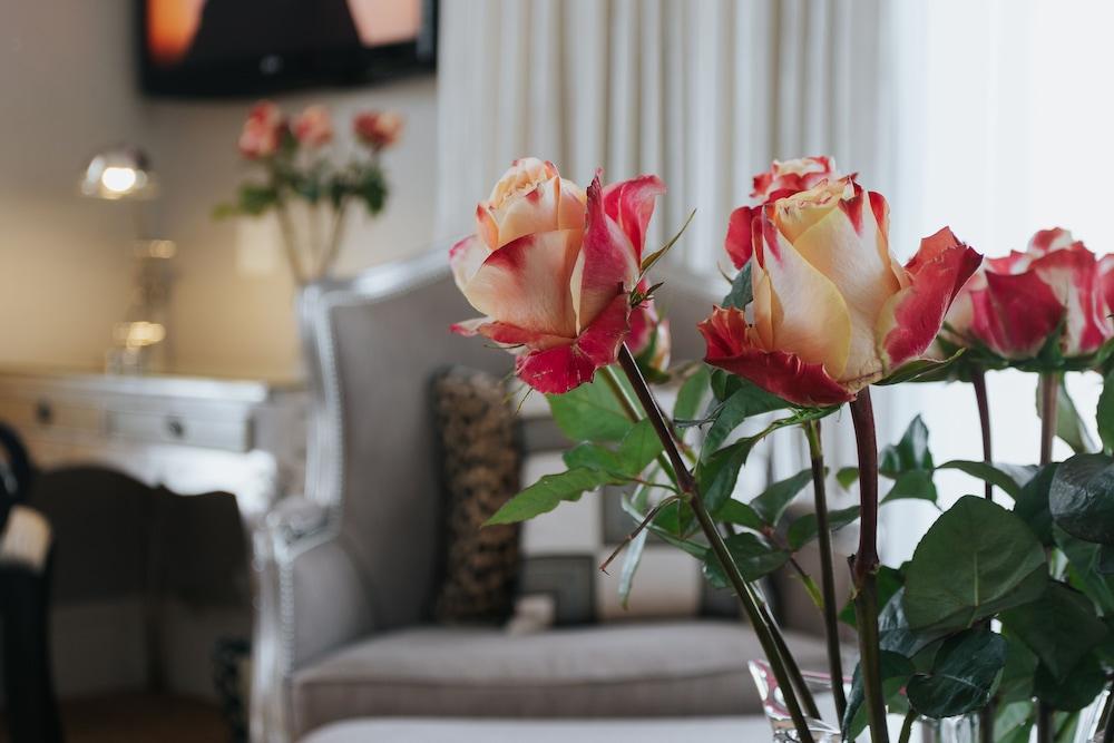 The Light House Boutique Suites พาร์ล ภายนอก รูปภาพ