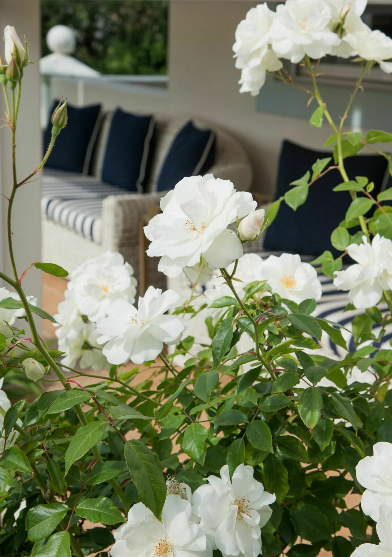 The Light House Boutique Suites พาร์ล ภายนอก รูปภาพ